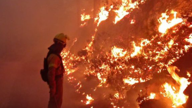 El incendio de Tenerife entra en el Parque Nacional del Teide y avanza «descontrolado»