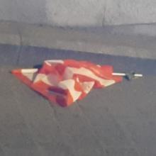 La bandera del niño