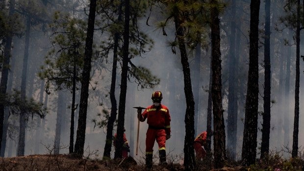 Extinguido el fuego en el Parque Nacional del Teide,  sigue activo el incendio con 2.800 hectáreas quemadas