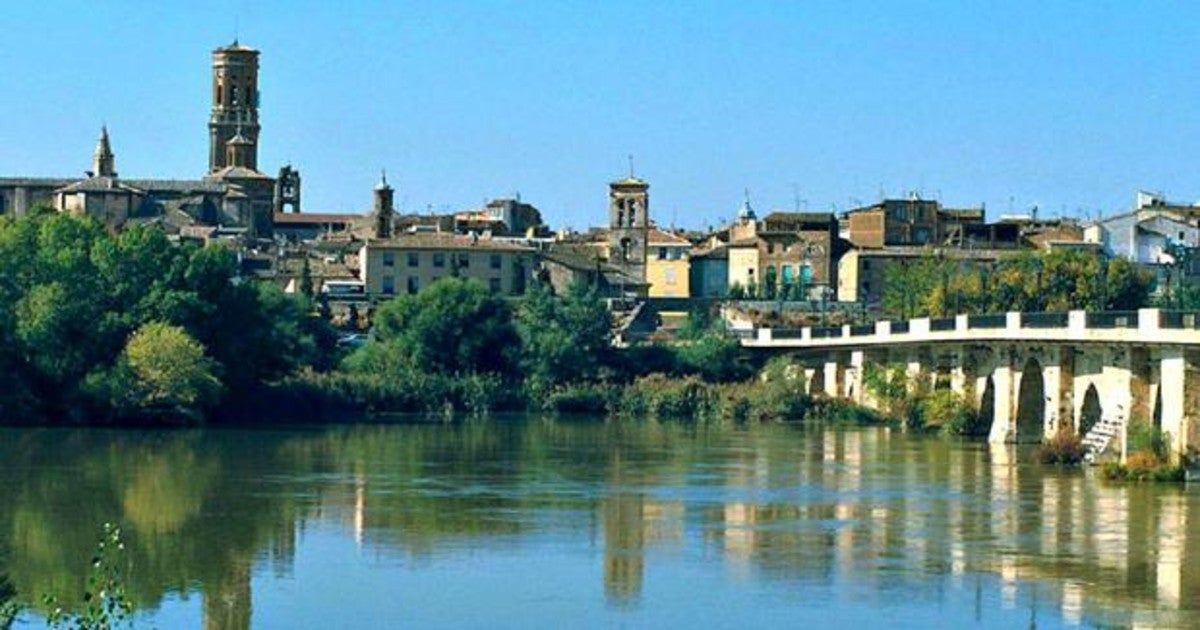 Imagen de Tudela y el puente sobre el río Ebro.