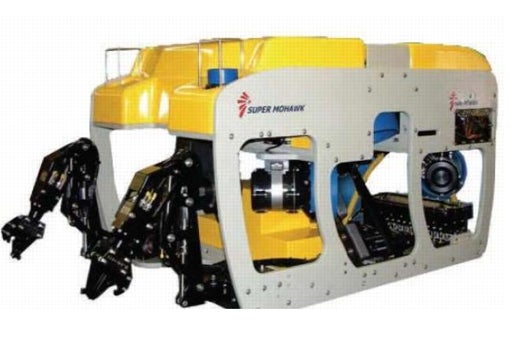 ROV Liropus 2000