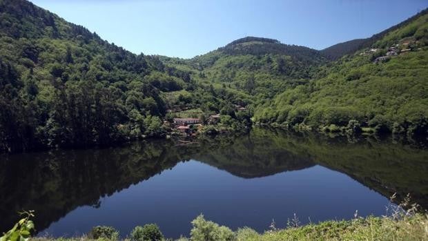 Aplazan un año la candidatura a patrimonio de la humanidad de la Ribeira Sacra