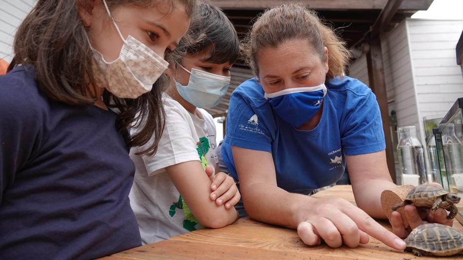 El Día del Medio Ambiente se celebra en Valencia para concienciar sobre la importancia de la biodiversidad