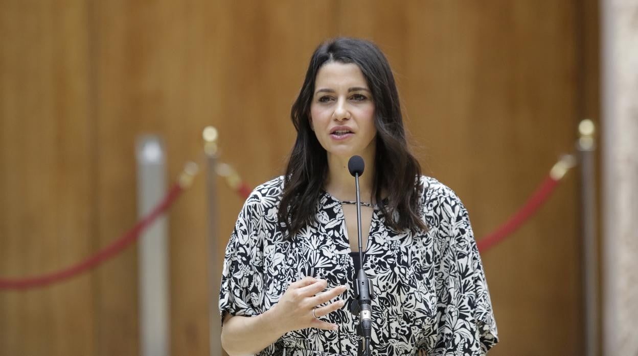 Inés Arrimdas, líder del partido naranja en el Parlamento de Andalucía