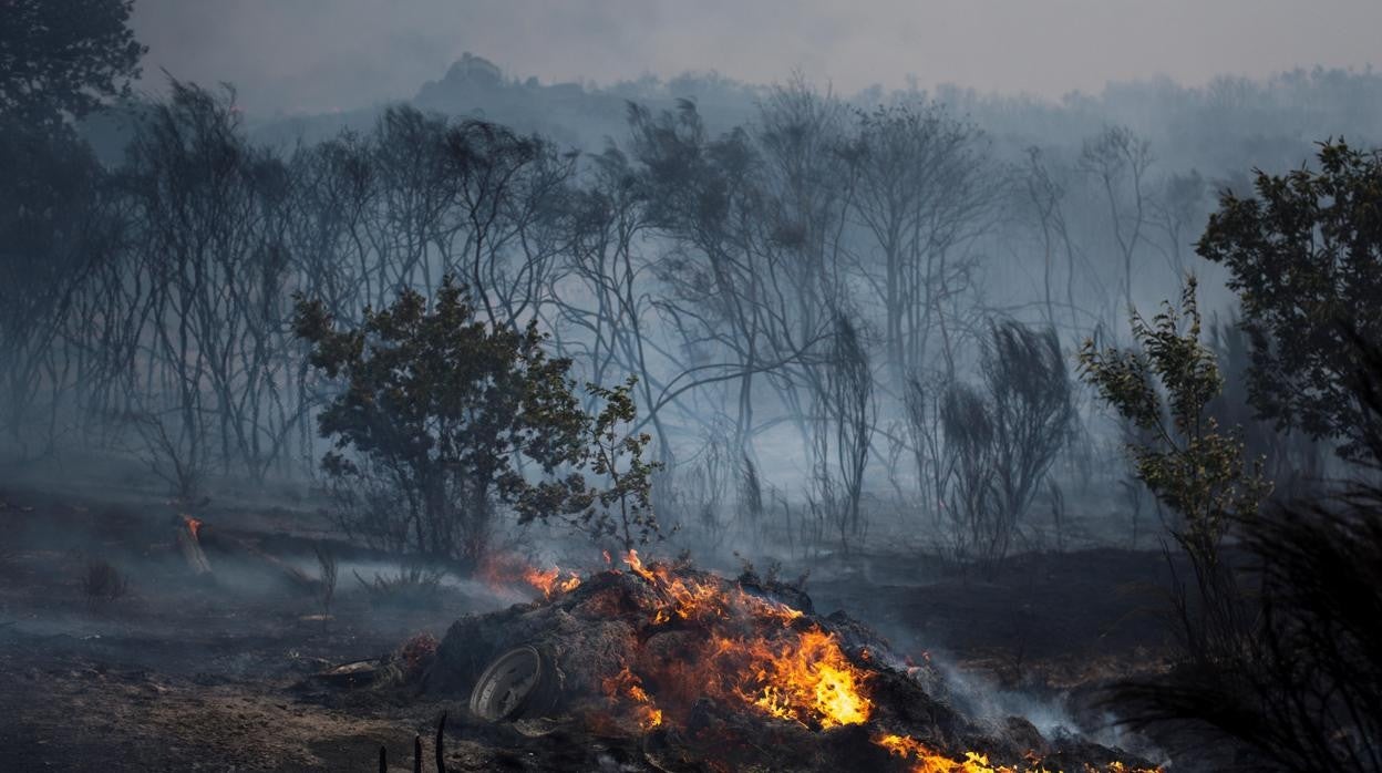 Incendio en un monte orensano el pasado verano