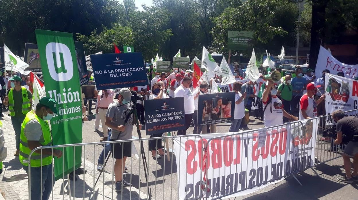 Ganaderos manifestándose en Madrid contra la decisión de incluir el lobo como especie de especial protección