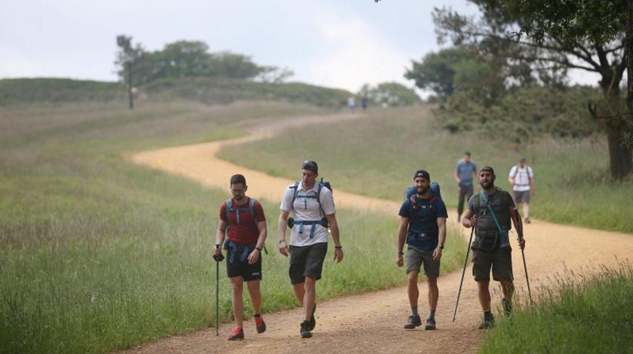 Un grupo burbuja de peregrinos en la última etapa del Camino Francés