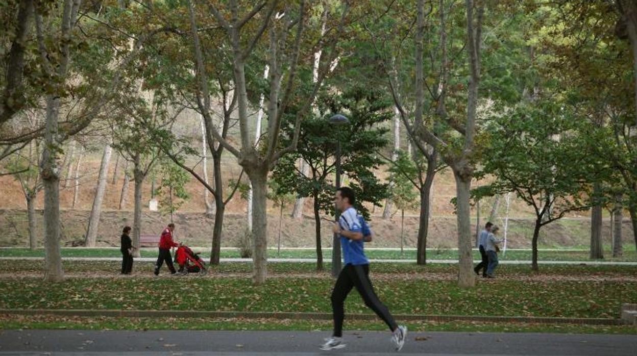 A los pulmones verdes del casco urbano de Zaragoza (en la imagen, el Parque Grande) se va a sumar la reforestación de 1.200 hectáreas alrededor de esta gran urbe