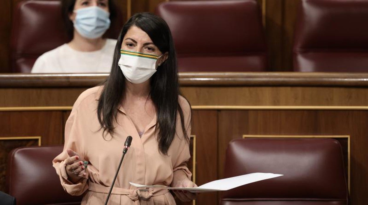 Macarena Olona, en el Congreso