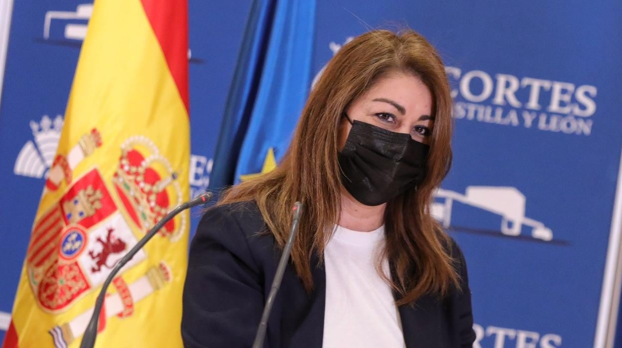 Marta Sanz, durante su comparecencia ayer en las Cortes