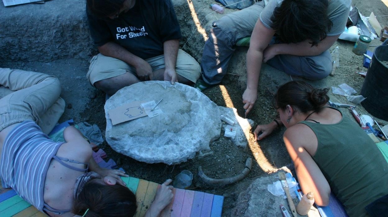 Investigadores trabajando en el yacimiento paleontológico en el que han hallado decenas de miles de fragmentos de huevos de tortugas marinas