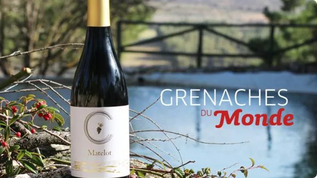 Un vino de Cuenca, entre los mejores del mundo elaborados con uva garnacha
