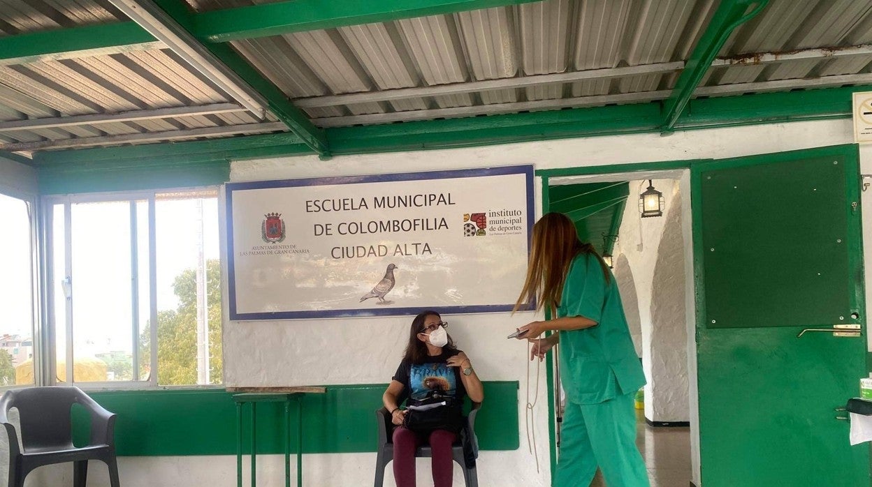 Vacunación en el centro colombófilo