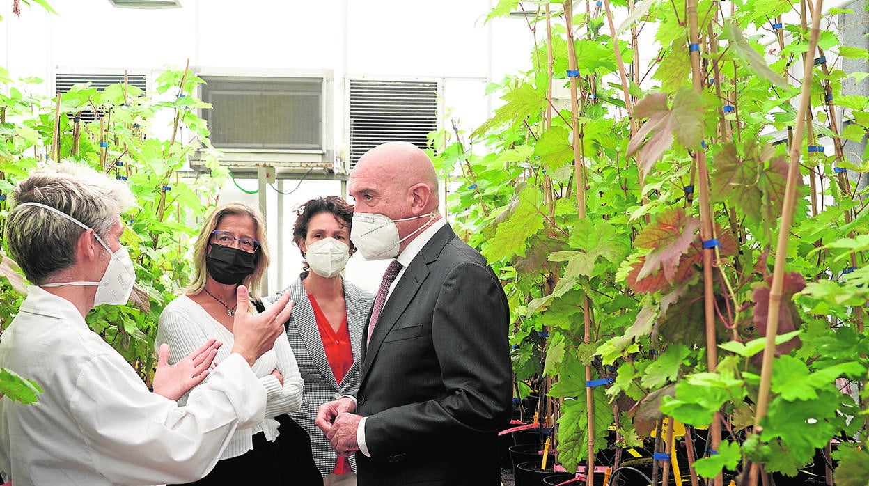 El consejero de Agricultura visitó ayer los invernaderos del Itacyl