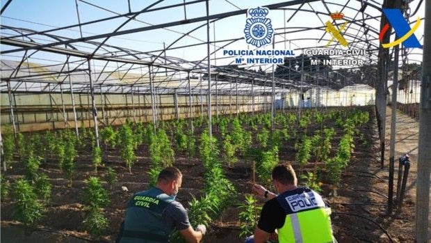 Cae una banda que enviaba droga por paquetería a varios países desde el aeropuerto de Alicante-Elche