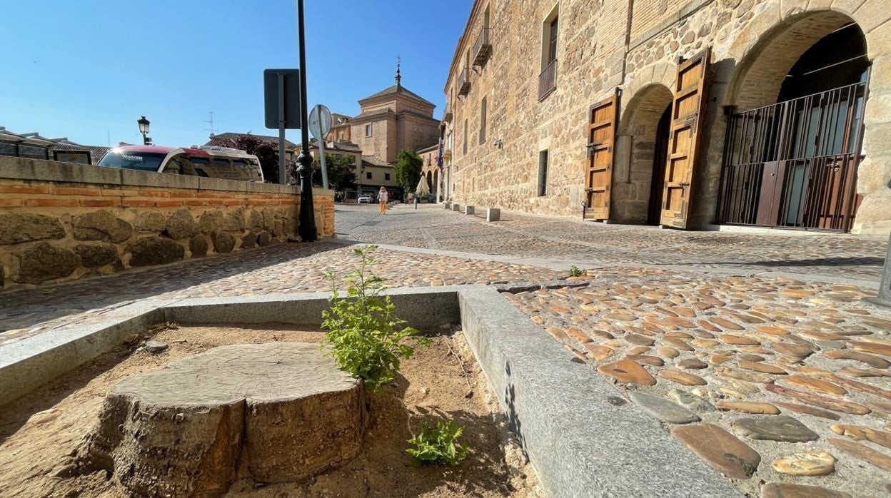 Árbol talado tras la borrasca Filomena en la Plaza del Conde, junto al Palacio de Fuensalida en Toledo