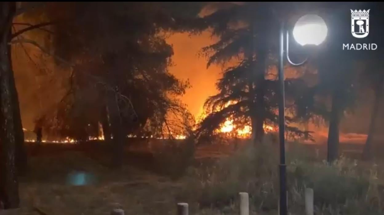 El fuego que afectó esta madrugada el parque de la Dehesa de la Villa