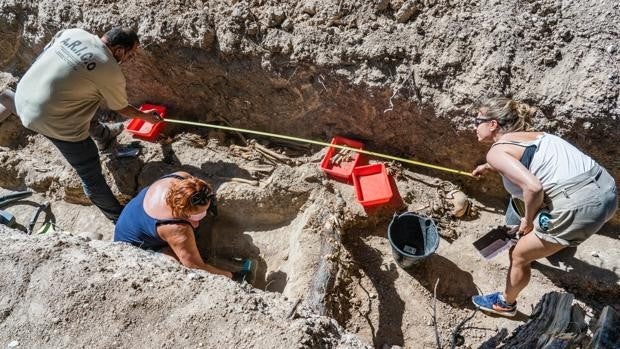 Localizada otra fosa común en el cementerio de Magallón tras la que apareció con 81 cuerpos