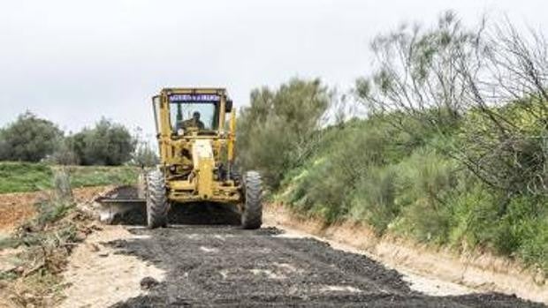 Invertirán 3,4 millones en mejorar 38 caminos forestales del Alto Tajo y la Sierra Norte