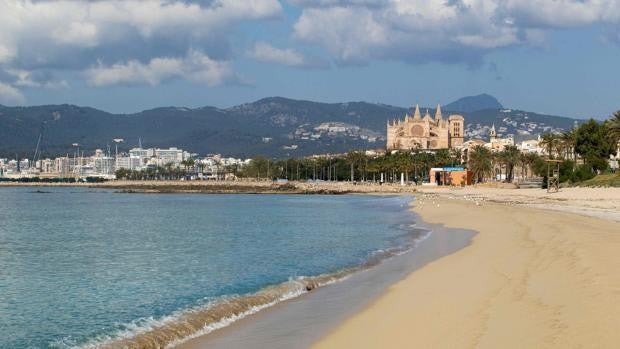 Muere un holandés de 27 años de vacaciones en Mallorca tras ser atacado por nueve compatriotas