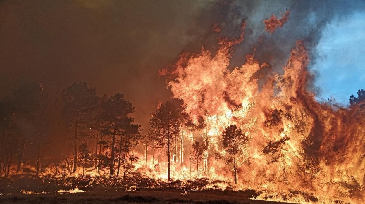 Uno de los incendios declarados en Cataluña en las últimas horas