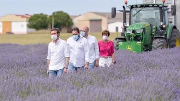 Pablo Casado visita Brihuega, acompañado de Francisco Núñez