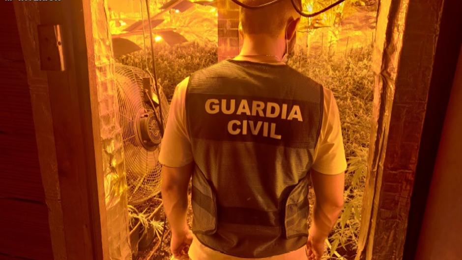 Una banda de narcos secuestra y tortura a un hombre en un chalet destinado a cultivar marihuana