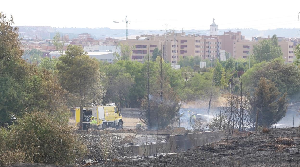 Incendio junto a la carretera de Renedo (Valladolid), entre la Ronda Este y la VA-30