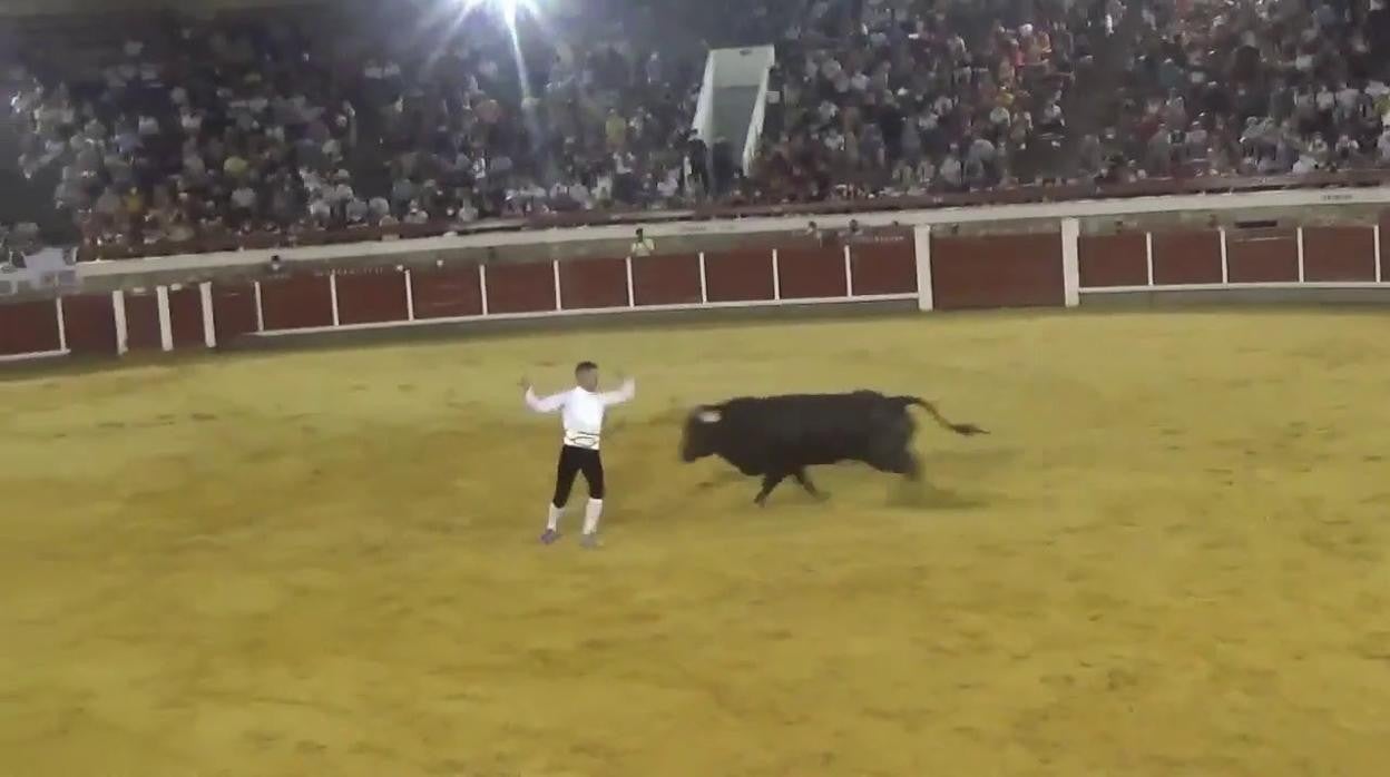 Un toro siembra el pánico en Brihuega al escaparse y herir a dos hombres de 73 y 64 años