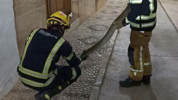 Encuentran una serpiente de más de dos metros en una calle de Benissa