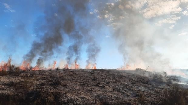 Activo un incendio en Pedralba de la Pradería (Zamora) con varios focos y tres helicópteros desplegados