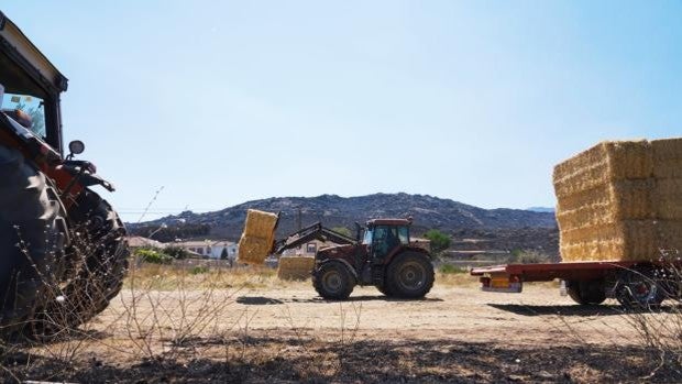 Los agricultores y ganaderos afectados por el incendio de Navalacruz tienen garantizadas las ayudas de la PAC