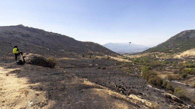 La Junta reconoce que «quedan muchas jornadas» para perimetrar, estabilizar y apagar el fuego de Navalacruz