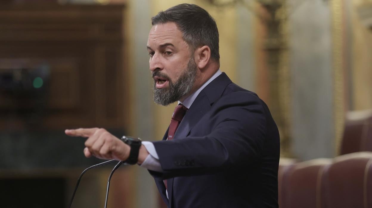 El presidente de Vox, Santiago Abascal, en una intervención en el Congreso de los Diputados el pasado mes de junio