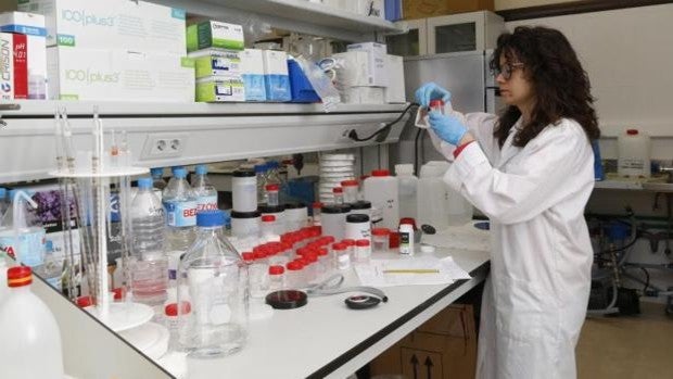 El Instituto de Investigación Sanitaria y Biomédica de Alicante lanza ayudas por valor de 233.000 euros