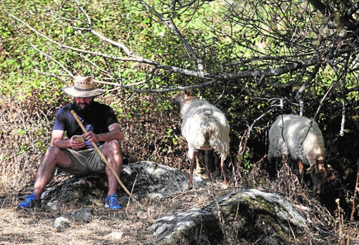 José descansa durante el ‘careo’