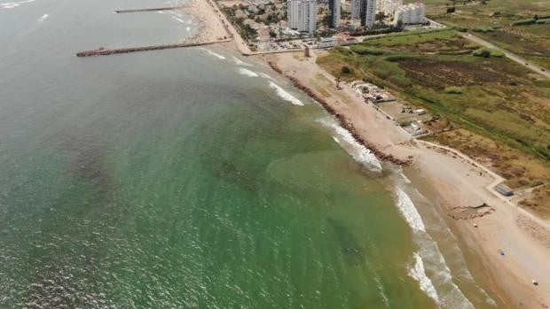 Una microalga en descomposición provoca una mancha negra en el mar y obliga a cerrar tres playas en Valencia