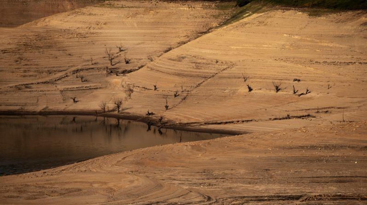 Situación que presentaba esta semana el embalse de Portas