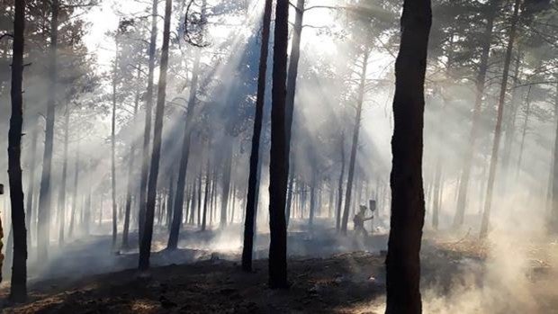 En nivel 0 y controlado el incendio en Cueva de Ágreda (Soria), que pudo afectar a 30 hectáreas