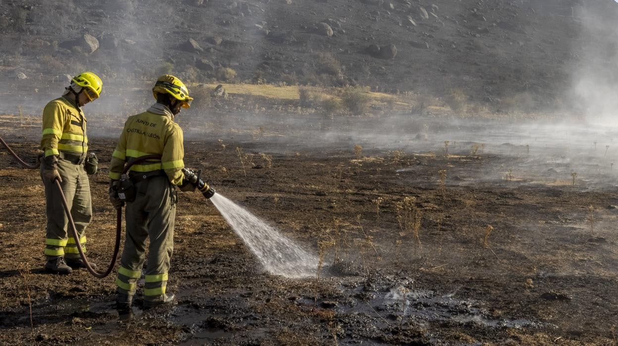 Agentes medioambientales trabajan en la extinción del fuego