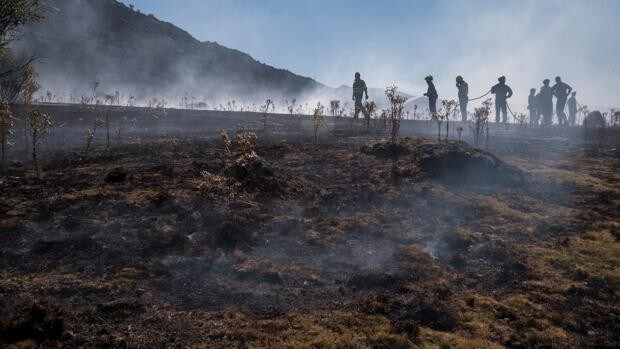 La Fundación Iker Casillas y Cruz Roja se unen para reforestar zonas afectadas por el fuego de Navalacruz
