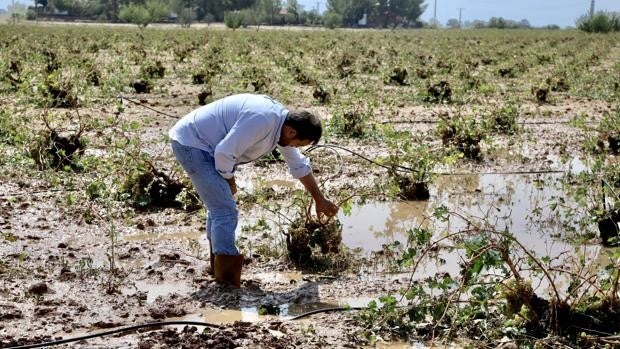 El PP de Castilla-La Mancha pedirá ayudas para los pueblos a causa de las tormentas