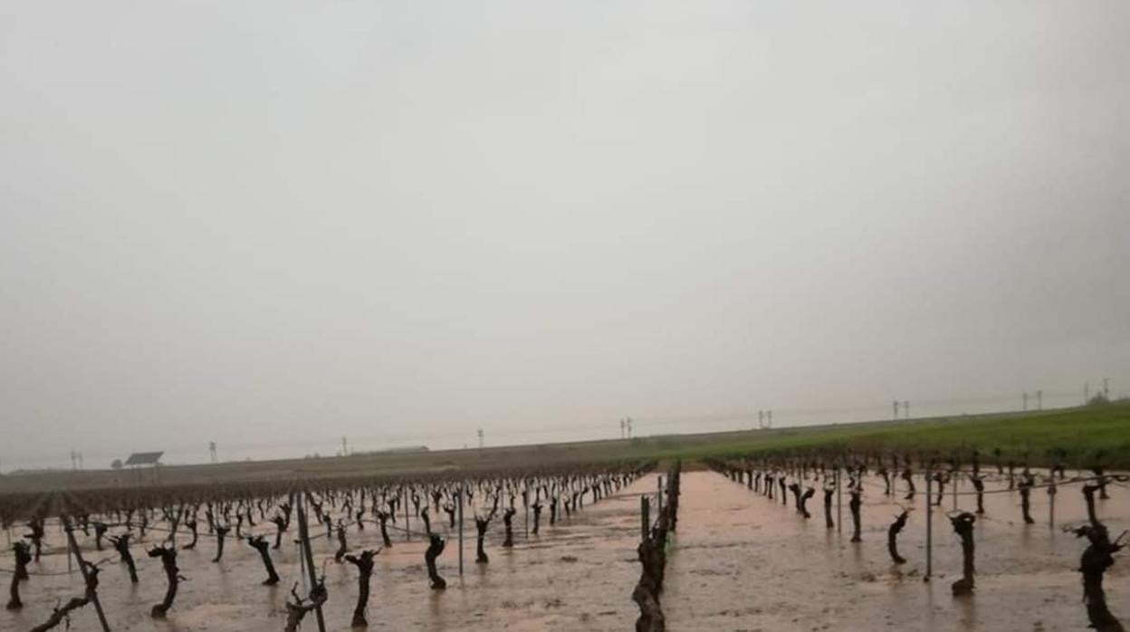 Asaja habla de «daños irreparables» en campos de Toledo, Albacete y Ciudad Real por las tormentas