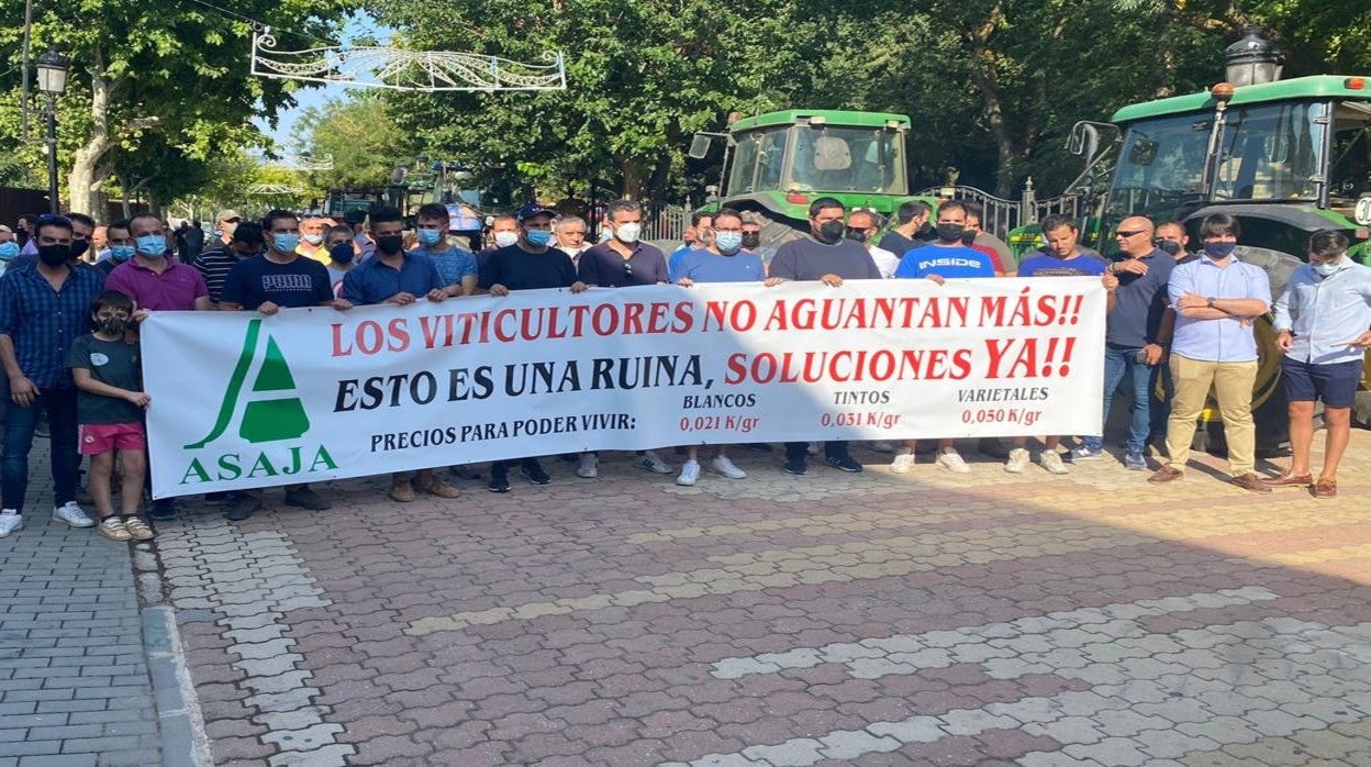 Cabecera de la manifestación celebrada este jueves en Socuéllamos