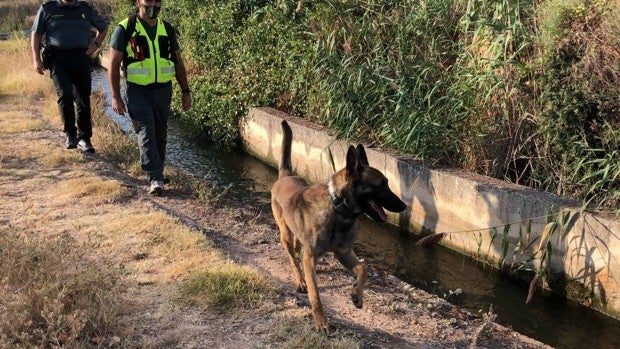 Hallan en un canal de riego el móvil de un riojano, cuyo cadáver se busca desde hace un mes