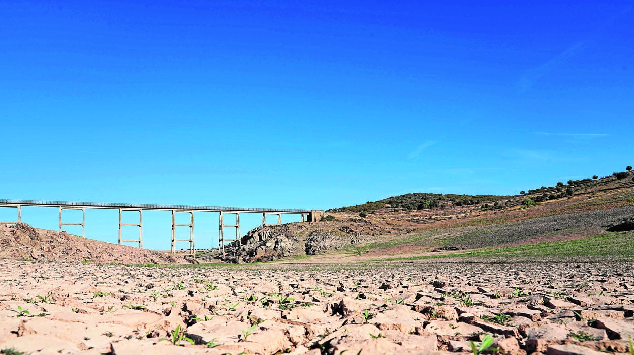 Imágenes del embalse de Ricobayo tras el vaciado