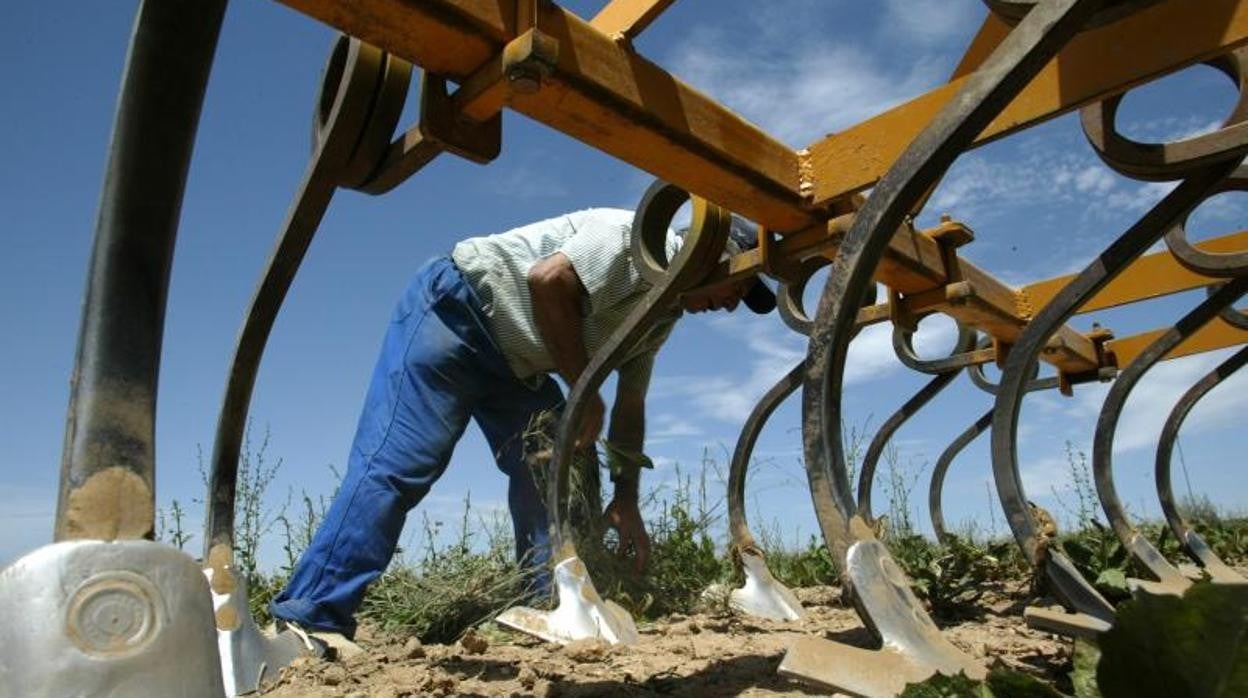 La jubilación de agricultores sin nadie que les tome el testigo hace que sigan aumentando las tierras de cultivo que quedan abandonadas