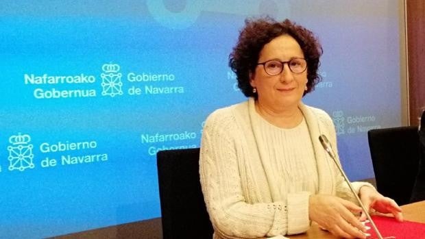 Navarra promueve centros sin sujeciones