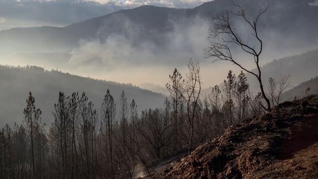 La Xunta da por controlado el incendio de la Ribera Sacra, tras devastar más de 1.700 hectáreas