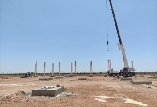 IberoPistacho revoluciona el sector con la construcción en Argamasilla de Alba de la planta de procesado de pistacho más grande de Europa